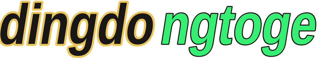 dingdongtoge logo